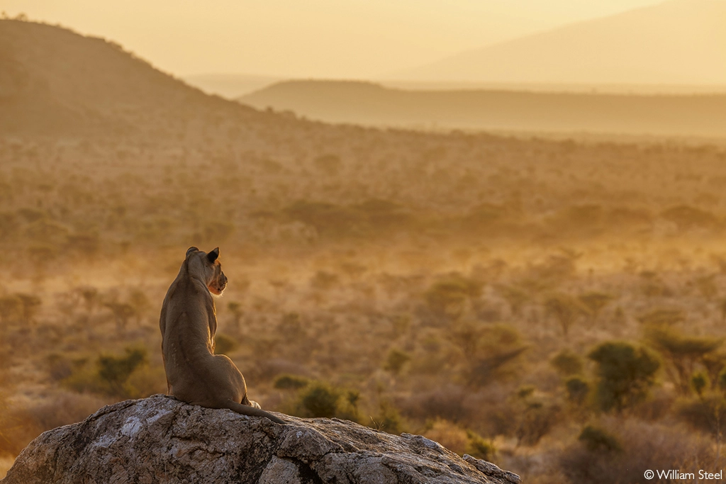 Africa tours