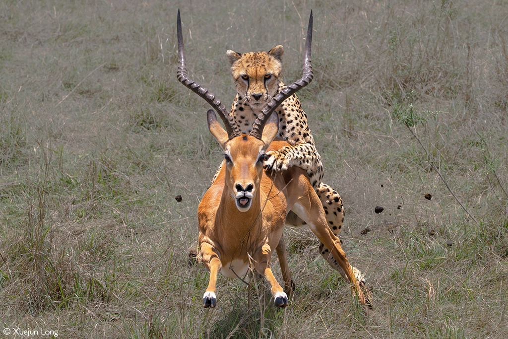 Photographer of the year 2026