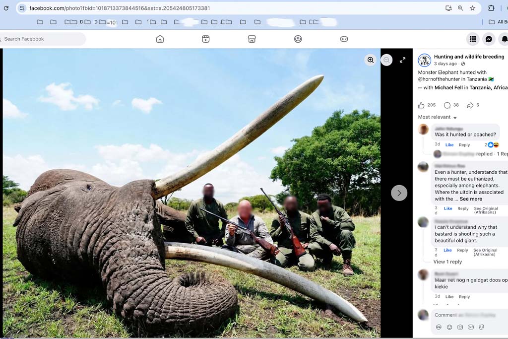 Zito the tusker elephants killed by trophy hunters in Tanzania