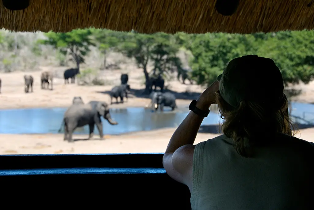 Tembe