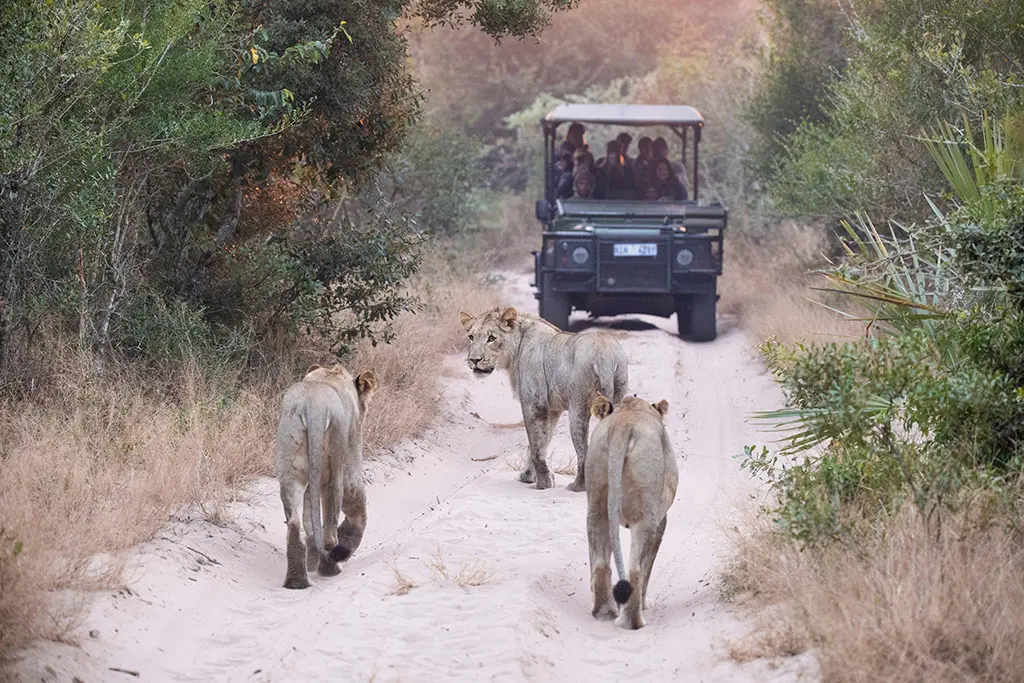 Tembe Elephant Park