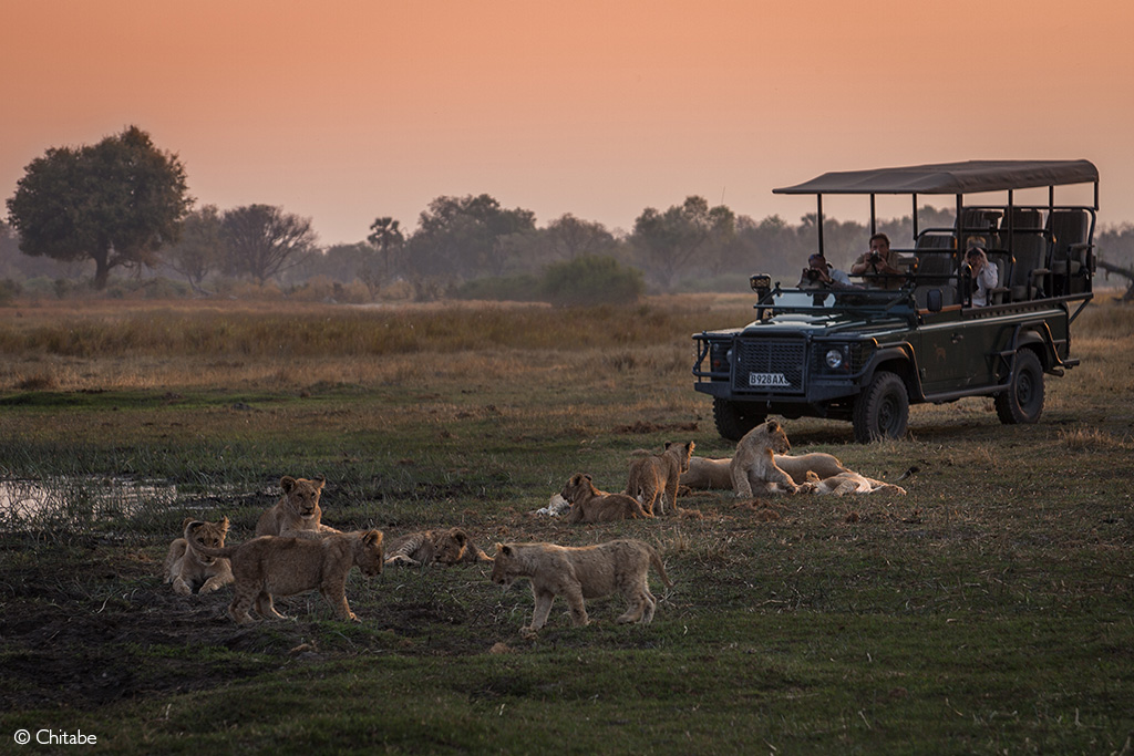 Okavango Delta