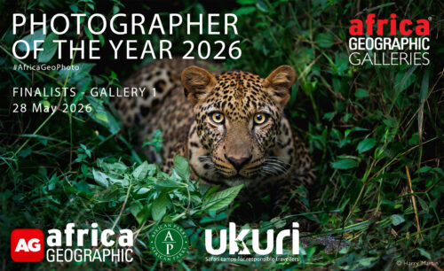 Photographer of the Year 2026