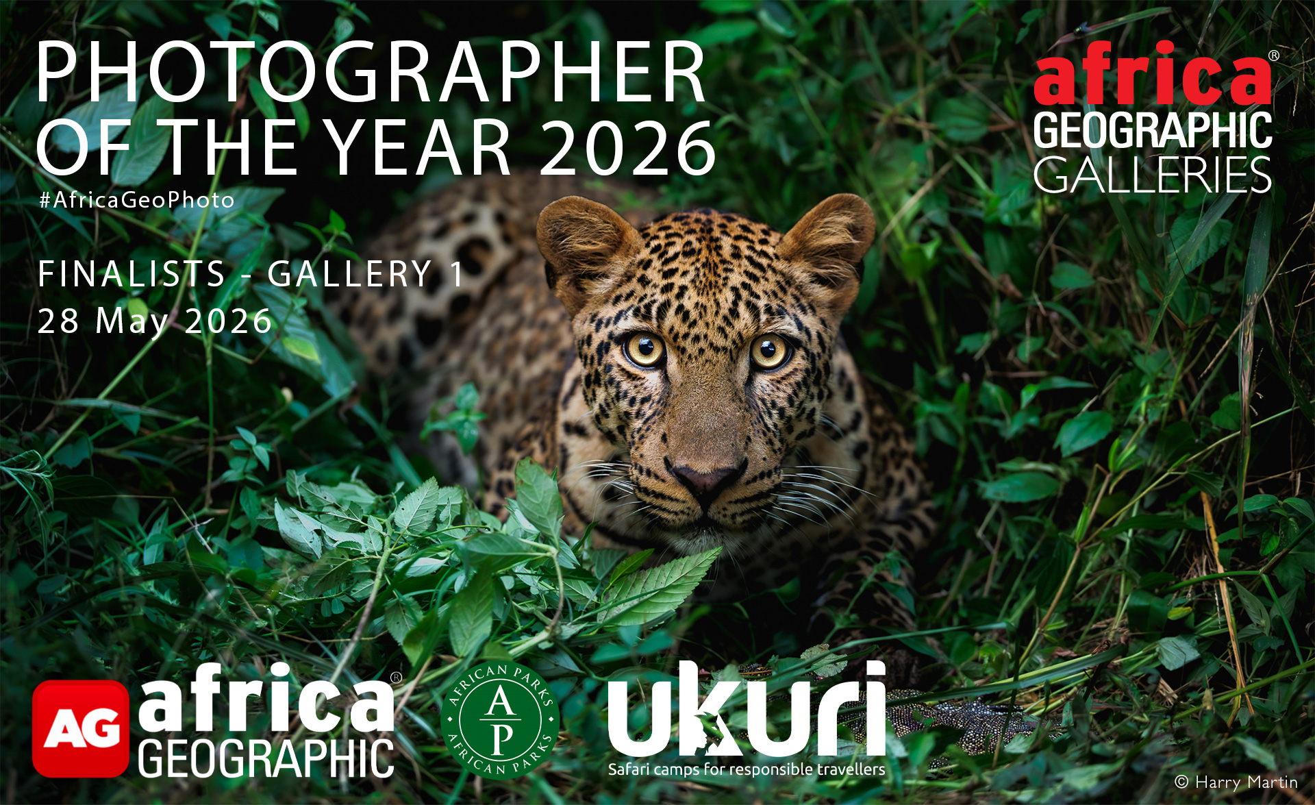 Photographer of the Year 2026