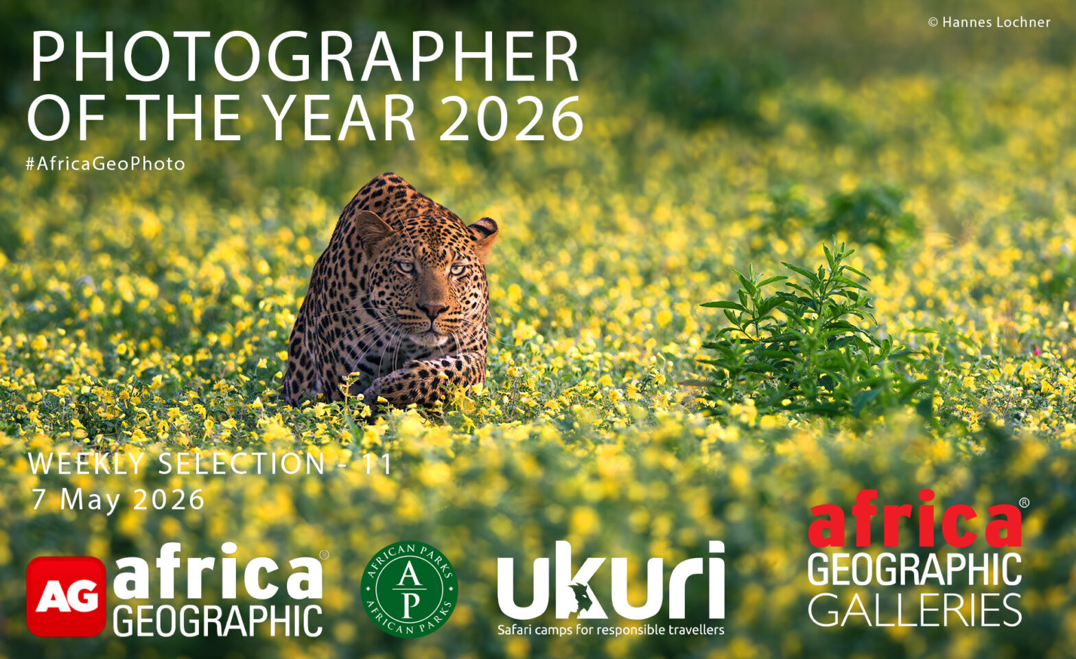 Photographer of the Year 2026