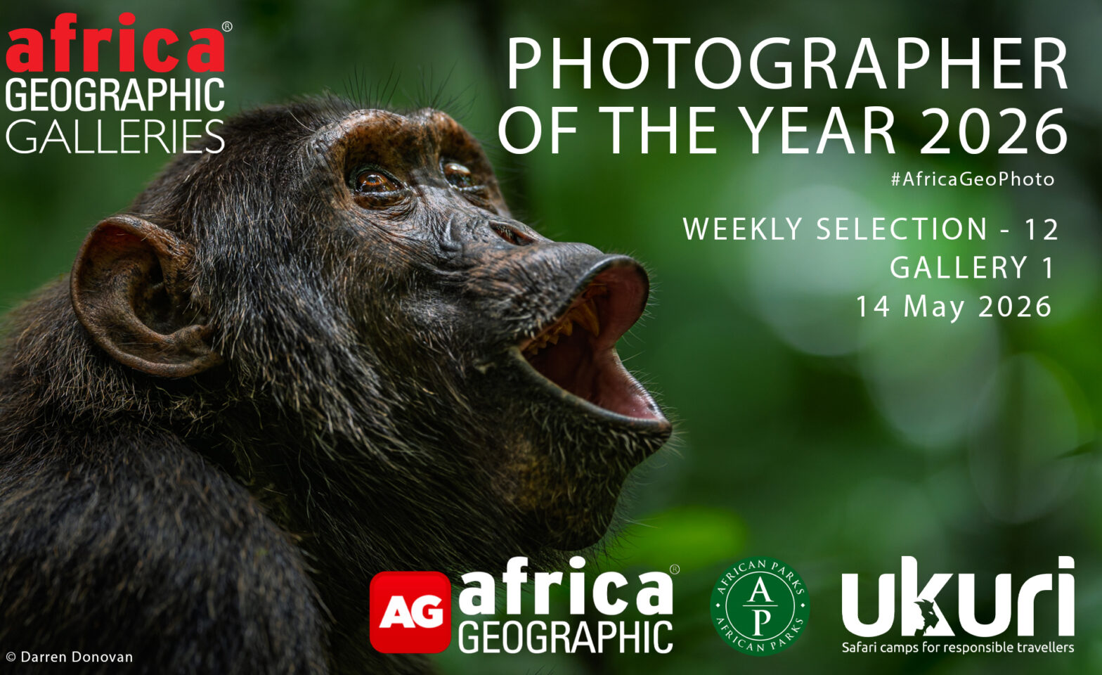 Photographer of the Year