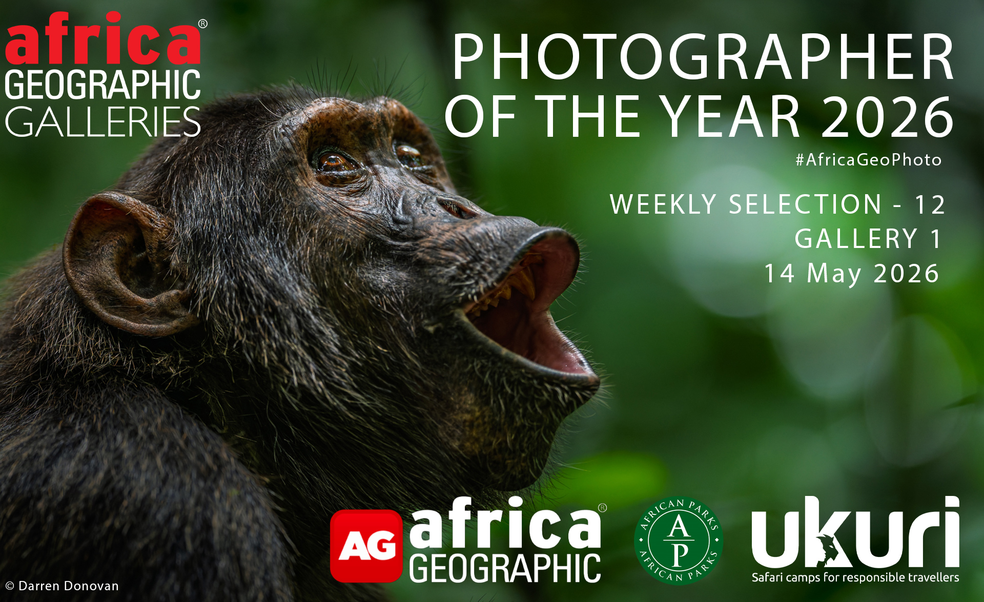Photographer of the Year