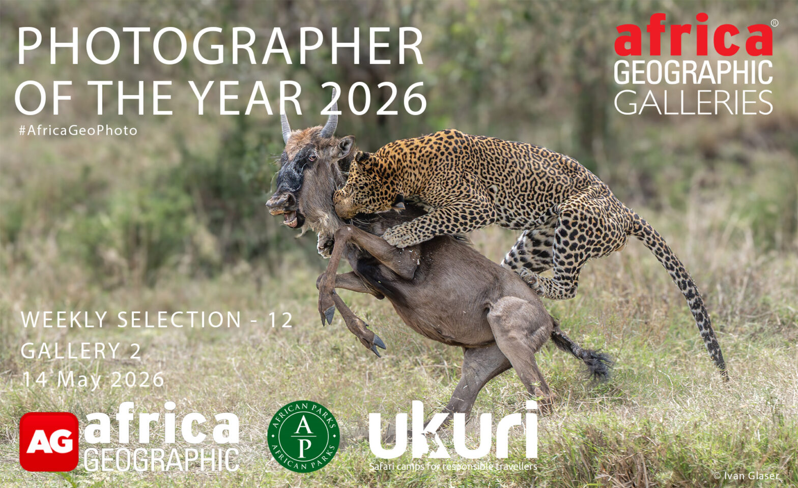 Photographer of the Year