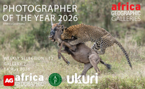 Photographer of the Year