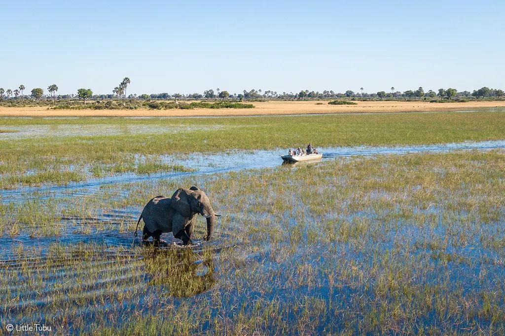 Okavango Delta