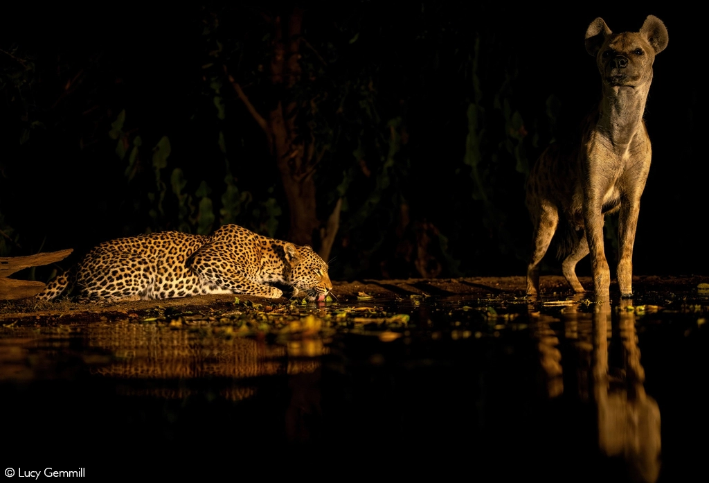Africa tours
