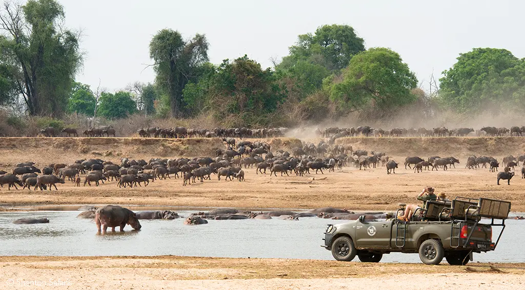 South Luangwa