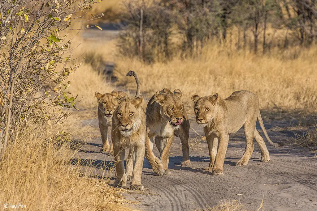 Botswana