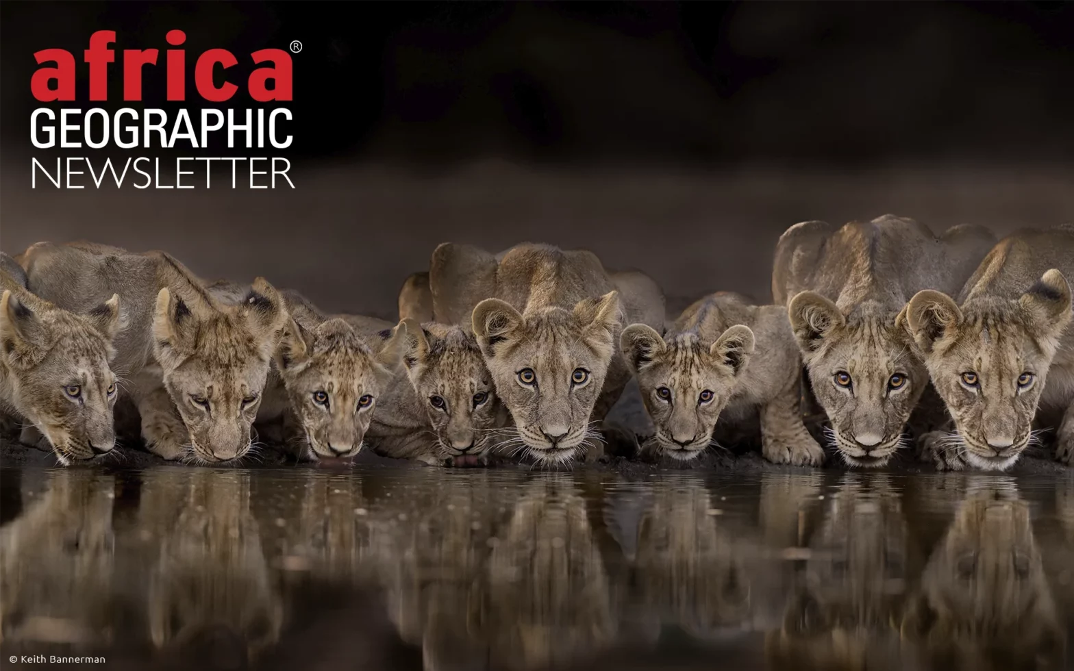 The many faces of a future generation. Central Kalahari Game Reserve, Botswana