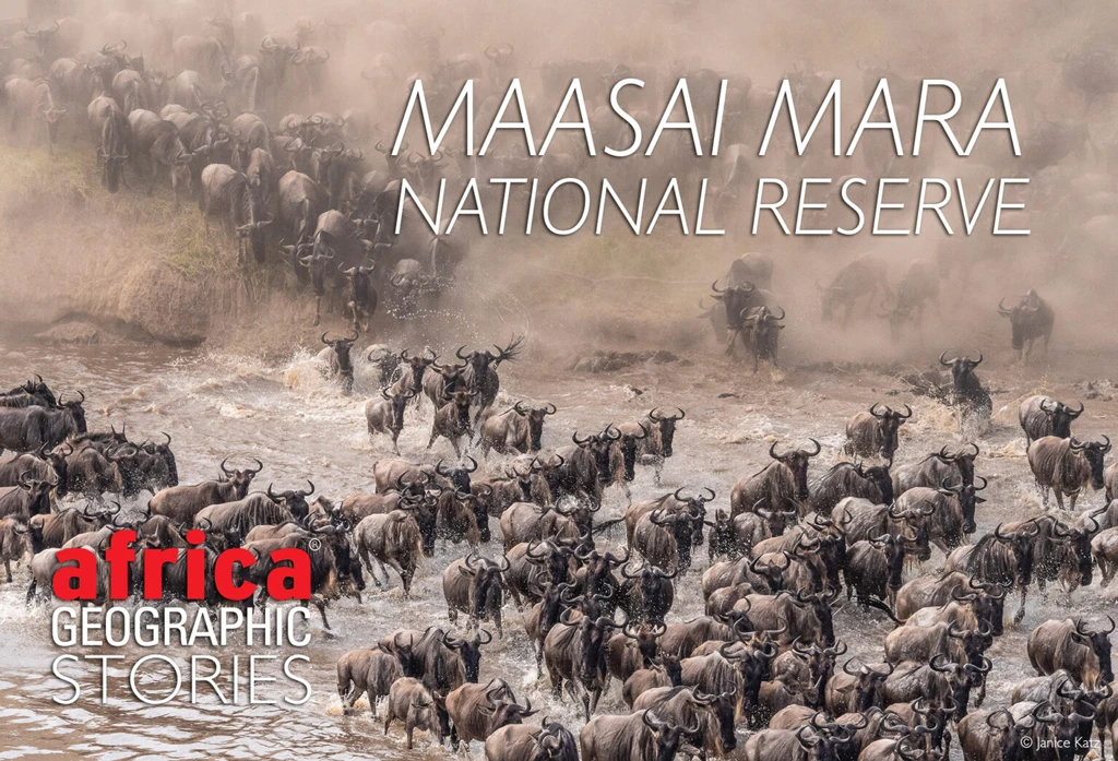 Maasai Mara how to