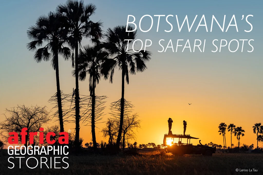 Botswana’s top safari destinations