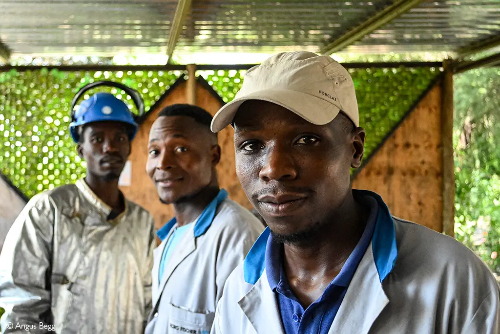 Sijwa Project