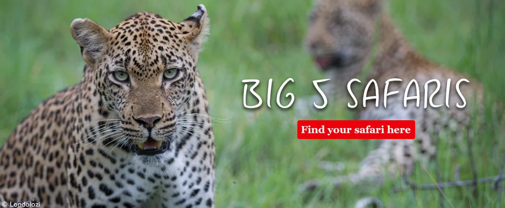 Big 5 Safaris