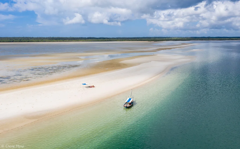 Ruaha and Mafia Island bush and beach - 8 days