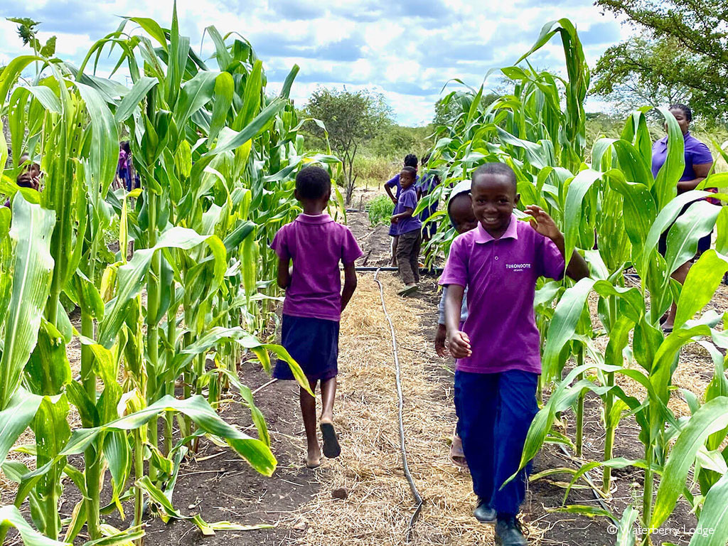 Zambia community projects