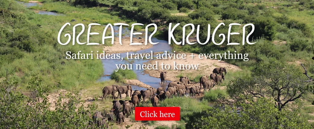 Greater Kruger Safari ideas