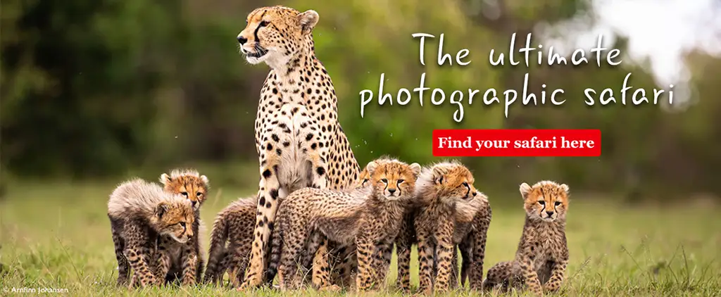The ultimate photographic safari