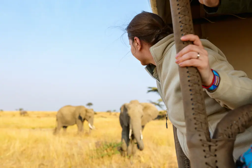 elephant behaviour and guides