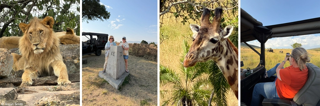 Our safari guests say…