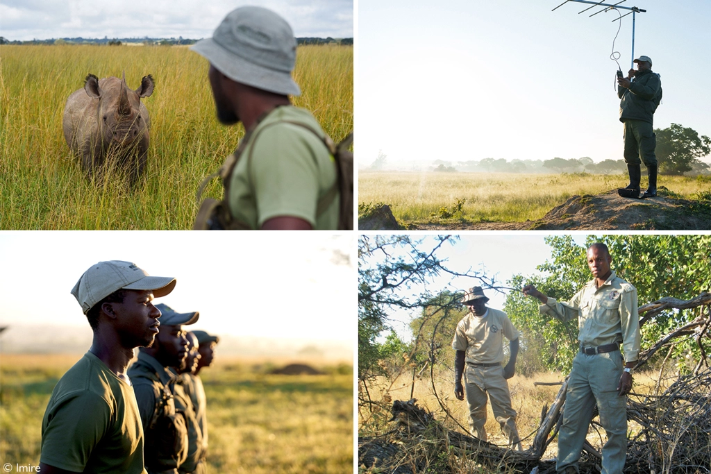 Your safari - Your impact