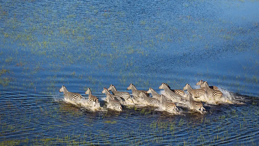 Africa river safaris