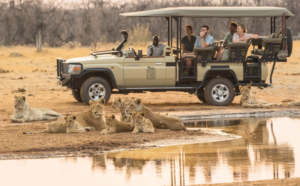 Botswana family adventure – 7 days