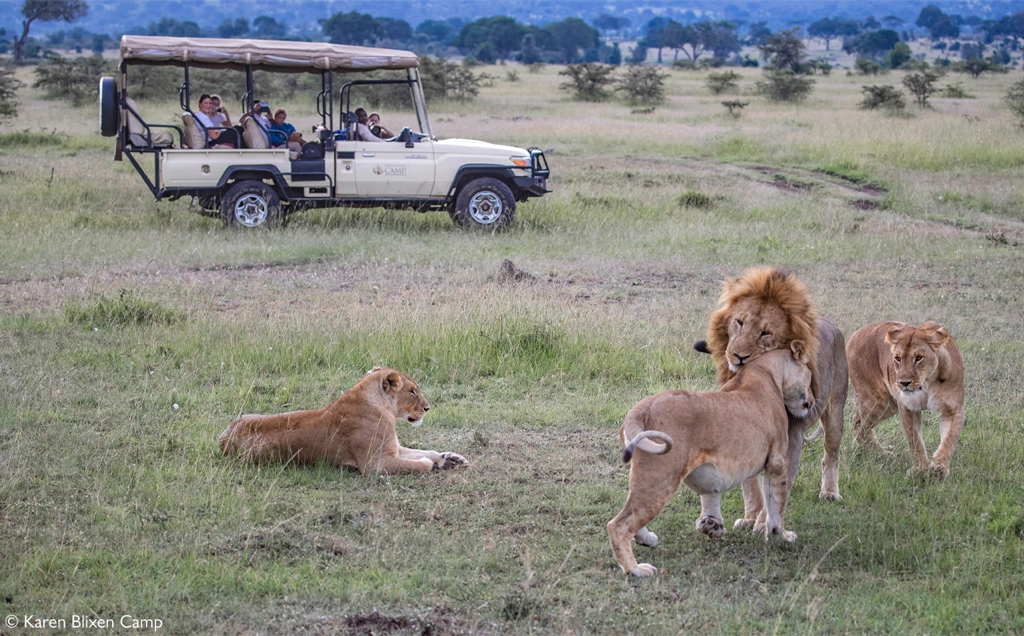 Family safari to Maasai Mara, Amboseli & Samburu - 9 days