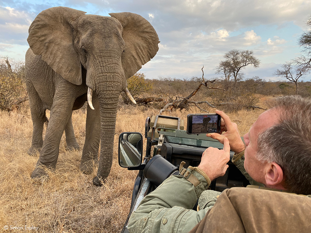 Safari game drive