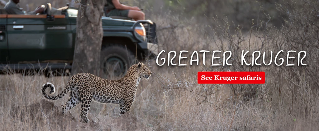 Greater Kruger Safaris