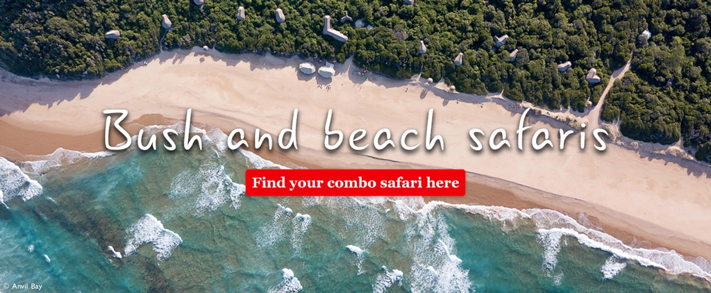 Bush and Beach safaris