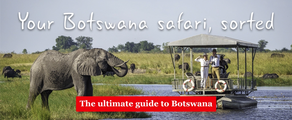 Botswana safari