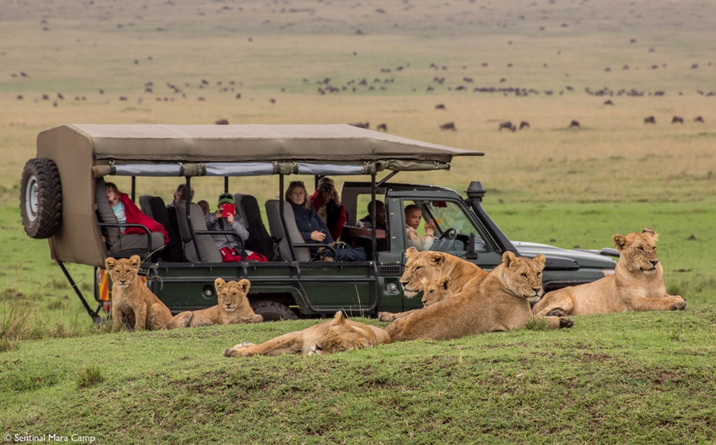 Secret season - Maasai Mara and Laikipia - 9 days