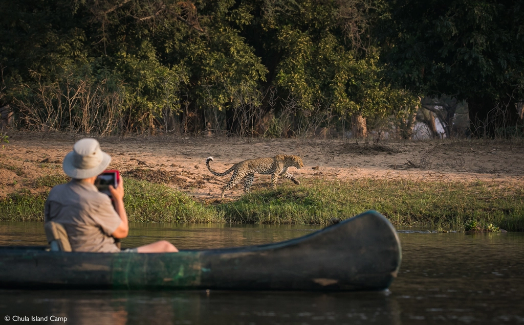 South Luangwa & Lower Zambezi explorer - 10 days
