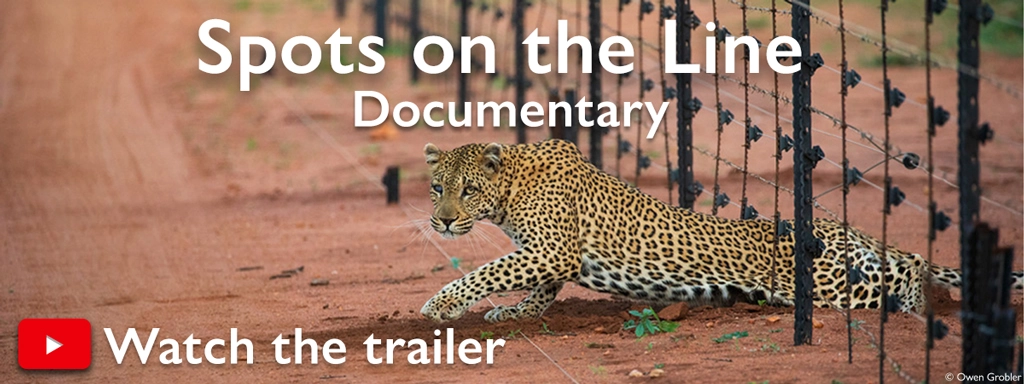 Spots On The Line