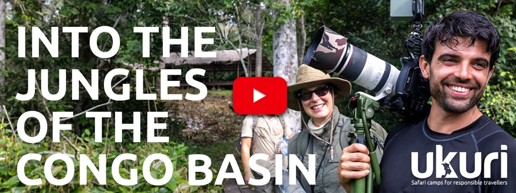 Into the jungles of the Congo Basin