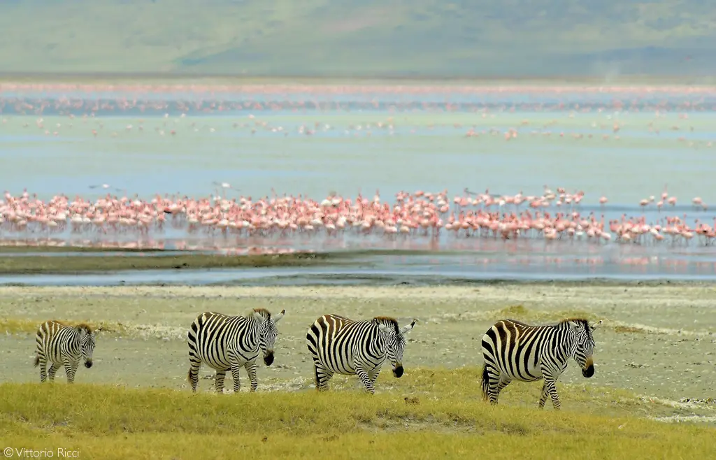 Ngorongoro Crater