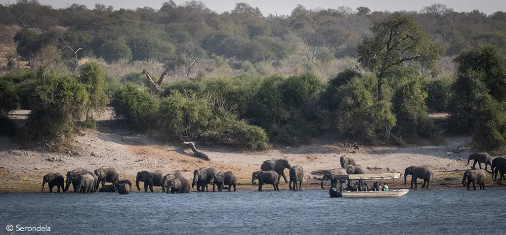 Africa river safaris