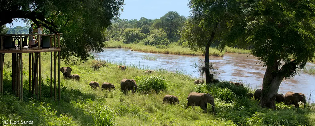Sabie River