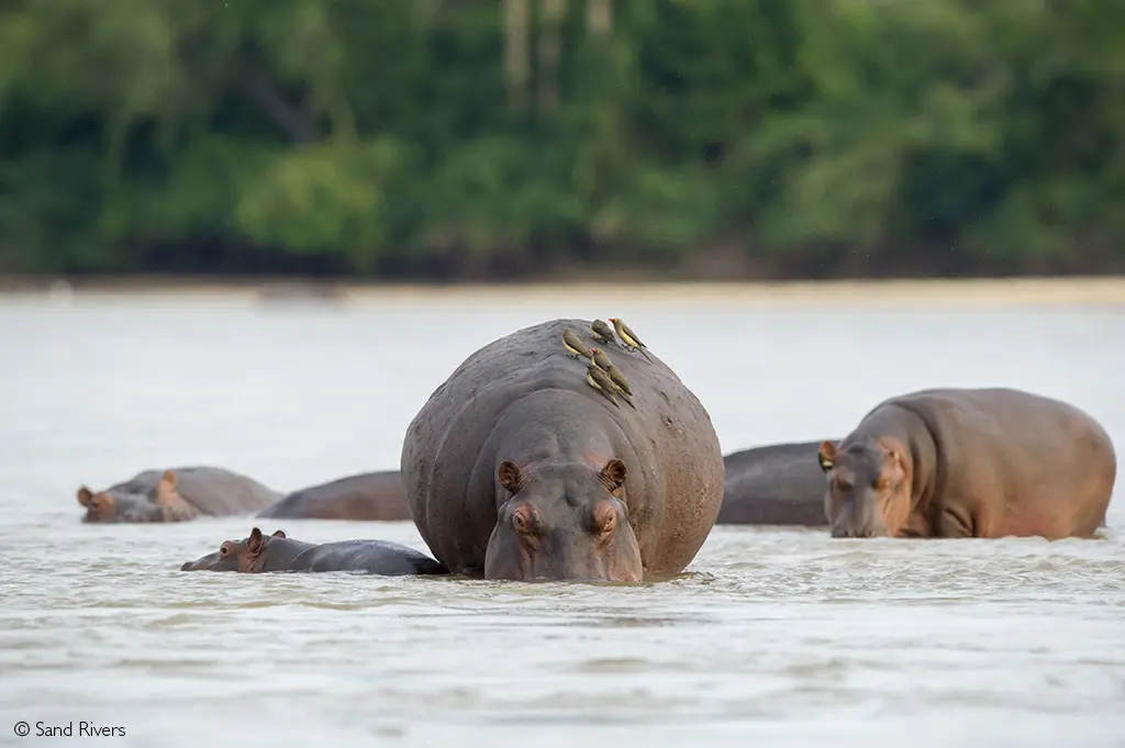 River safaris Africa