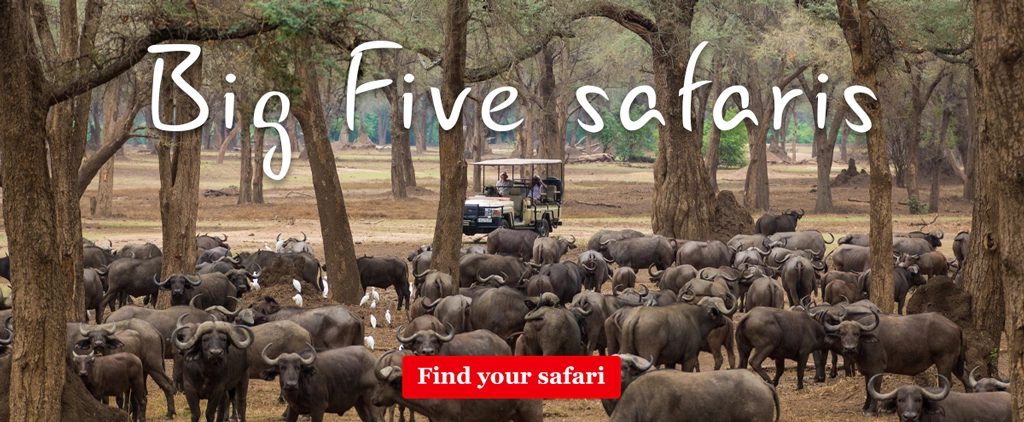 Big 5 safaris