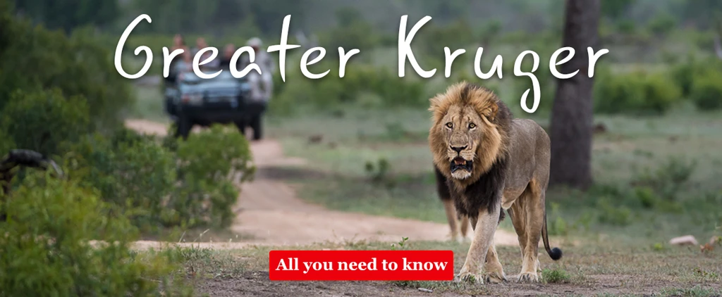 Greater Kruger