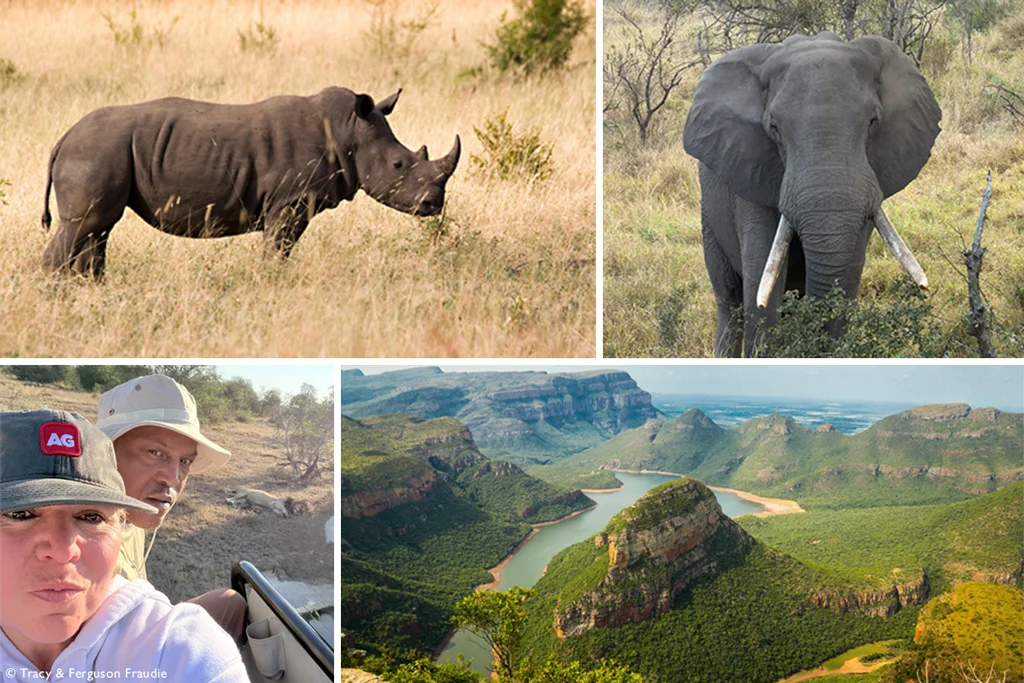 Our safari guests say...