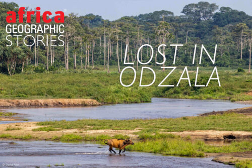 Odzala-Kokoua