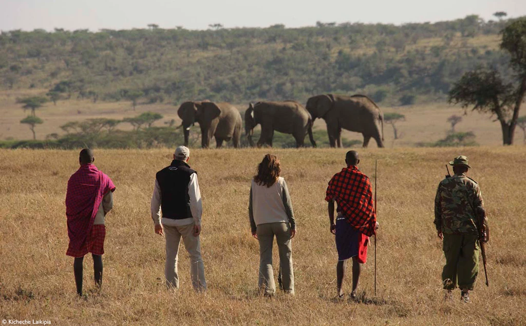 Kenya Big 5 - Laikipia & Maasai Mara - 8 days