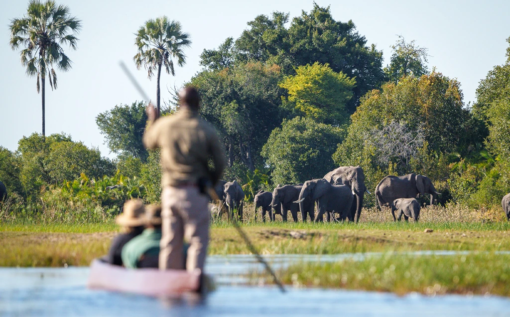 Okavango Delta celebration - 11 days
